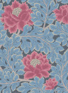 Cole & Son Wallpaper Aurora Cerise & Cerulean Blue on Midnight