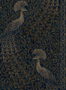 Cole & Son Wallpaper Pavo Parade - Metallic Bronze on Midnight