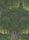 Baum Tapete Savage Leaves von MINDTHEGAP - WP20466