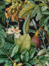 Blätter Tapete Figs and Dates von MINDTHEGAP - WP20517