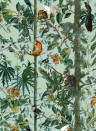 Mindthegap Carta da parati Wildlife of Papua - WP20528