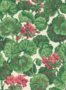 Cole & Son Papier peint Geranium - Rose/ Green on Parchment