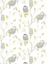 Harlequin Tapete Little Owls - Kiwi