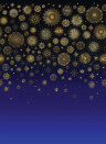 Matthew Williamson Celestia Midnight