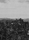 Sandberg Mural Oak View graphite
