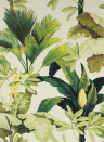 Manuel Canovas Wallpaper Salengro Kaki