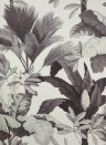 Manuel Canovas Wallpaper Salengro Fusain