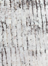 Isidore Leroy Mural Ecorce Original