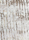 Isidore Leroy Mural Ecorce Caramel