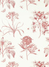Sanderson Wallpaper Etchings & Roses - Amanpuri Red