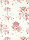 Sanderson Wallpaper Etchings & Roses - Amanpuri Red