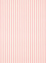 Sanderson Carta da parati New Tiger Stripe - Rose/ Ivory