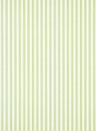 Sanderson Carta da parati New Tiger Stripe - Leaf Green/ Ivory