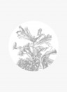 KEK Amsterdam Mural Engraved Flowers 5 Circle - S - 1.425m