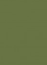 Sanderson Active Emulsion - Canopy Green 63 - 0,125l