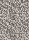 Cole & Son Wallpaper Savanna Shell - 119/4023