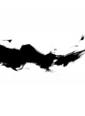 Rebel Walls Mural Focus - Graphite