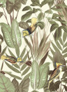 Rebel Walls Wallpaper Birds of Paradise - Bright Dawn