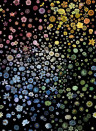 Christian Lacroix Wallpaper Jardin des Hesperides - Multicolore