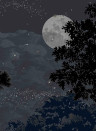 Isidore Leroy Mural Eclipse Nocturne - Panel B