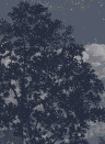 Isidore Leroy Mural Eclipse Clair Obscur - Panel C