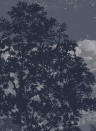 Isidore Leroy Papier peint panoramique Eclipse Clair Obscur - Panel C