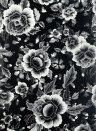 Jean Paul Gaultier Wallpaper Macao - Noir