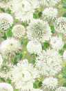 Harlequin Wallpaper Dahlia - Sail Cloth/ Meadow/ Gilver