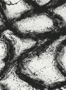 Harlequin Papier peint panoramique Enigmatic - Black Earth/ First Light
