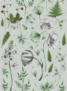 Rebel Walls Mural Botanical - Green
