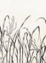 Nobilis Mural Hors-Champs - PAN130