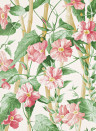 Manuel Canovas Tapete Elena - Peche
