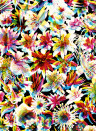 Jean Paul Gaultier Wallpaper Grenada - Multico