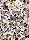 Jean Paul Gaultier Wallpaper Grenada - Pastel
