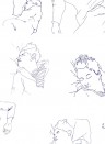 Lelievre Wallpaper Les Dormeurs Bleu