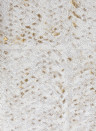 Elitis Wallpaper Laca Salvaje Silber/ Gold
