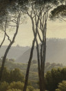 Panorama-Tapete Golden Age Landscapes 1 KEK - 3.896m Breite