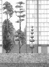 Coordonne Mural Urban Garden 8000077N