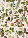 House of Hackney Tapete Herbarium - Ecru