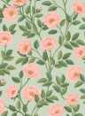 Cole & Son Wallpaper Hampton Roses 118/7014