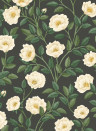 Cole & Son Wallpaper Hampton Roses 118/7016