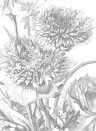 KEK Amsterdam Mural Engraved Flowers 3 Multicolor - 1.948m