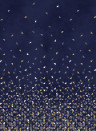 Isidore Leroy Papier peint panoramique Tangram Bleu Nuit - Panel A