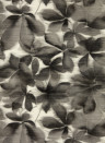 Harlequin Wallpaper Grounded - Black Earth/ Parchment