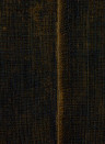 Elitis Wallpaper Corinthe - VP 920 06