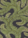 Josephine Munsey Wallpaper Bombes Fernery Dark Grey/ Green