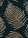 Isidore Leroy Wallpaper Fougere - Nocturne