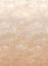 Designers Guild Wandbild Chettinad - Shell