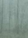 Sandberg Papier peint panoramique Skog - Forest Green