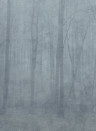Sandberg Wandbild Skog - Misty Blue